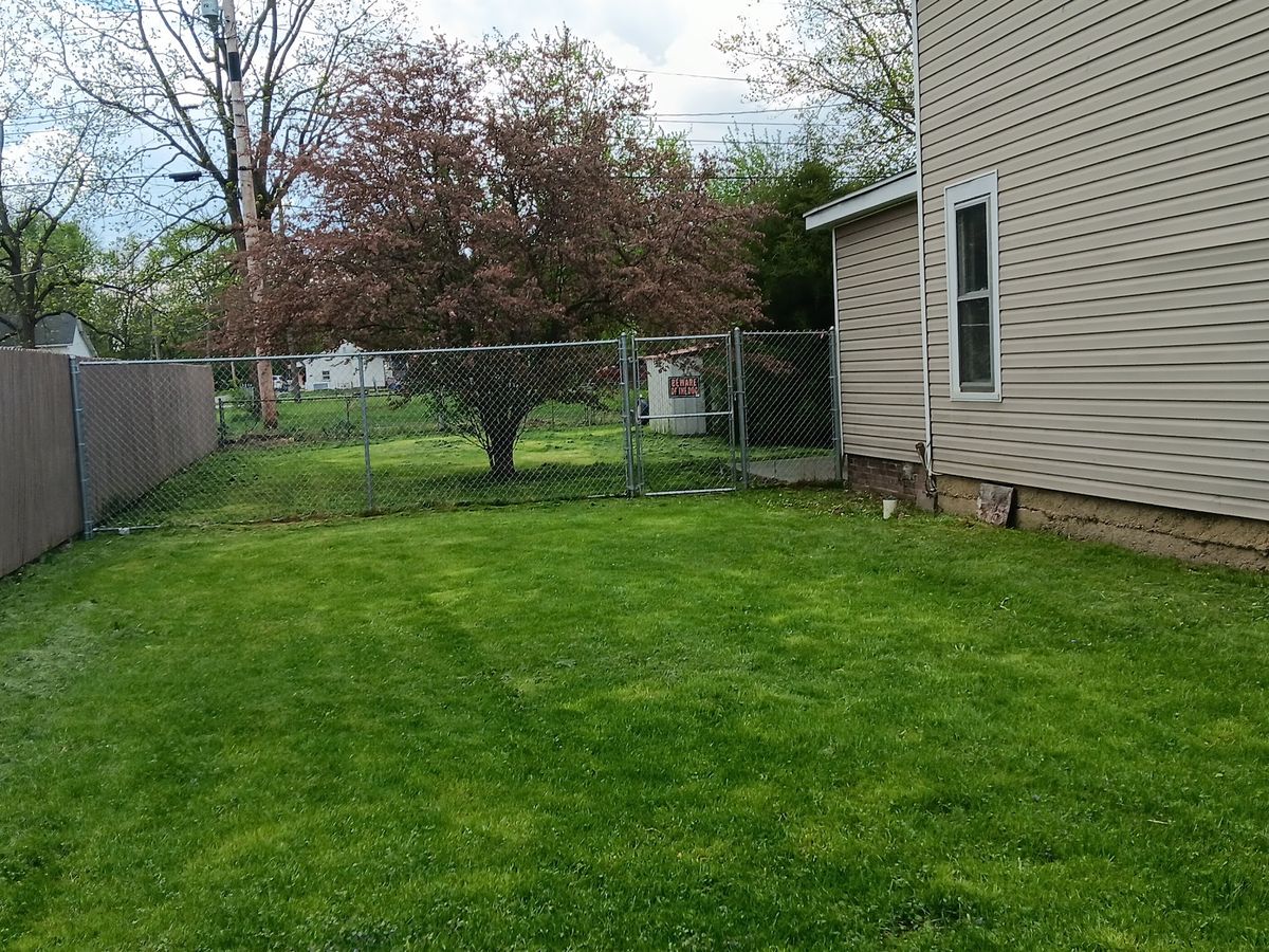 Tidy backyard lawn with fresh mowing stripes maintained by Somers Lawn & Tree in Washington Court House, OH